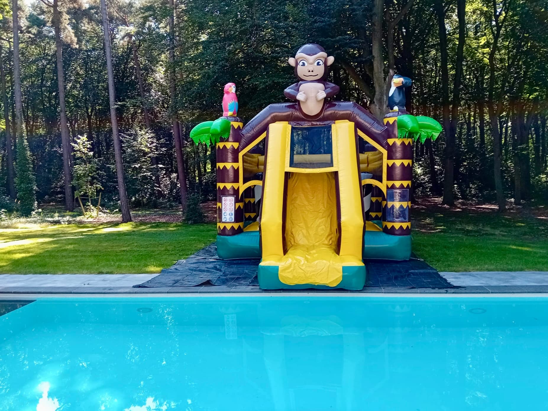 Megaslide Box jungle Jumperke