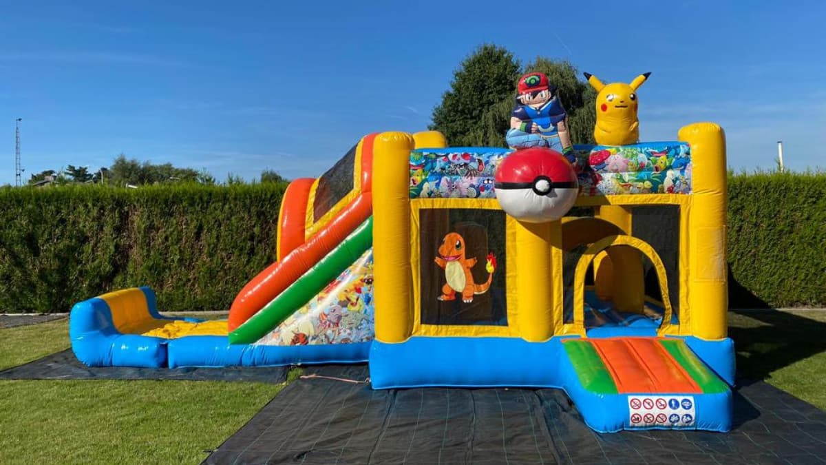 Parkslide Pokemon Jumperke
