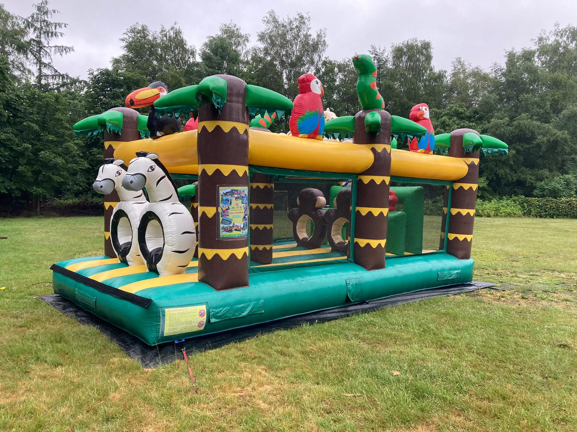 Jungle 8 Jumperke