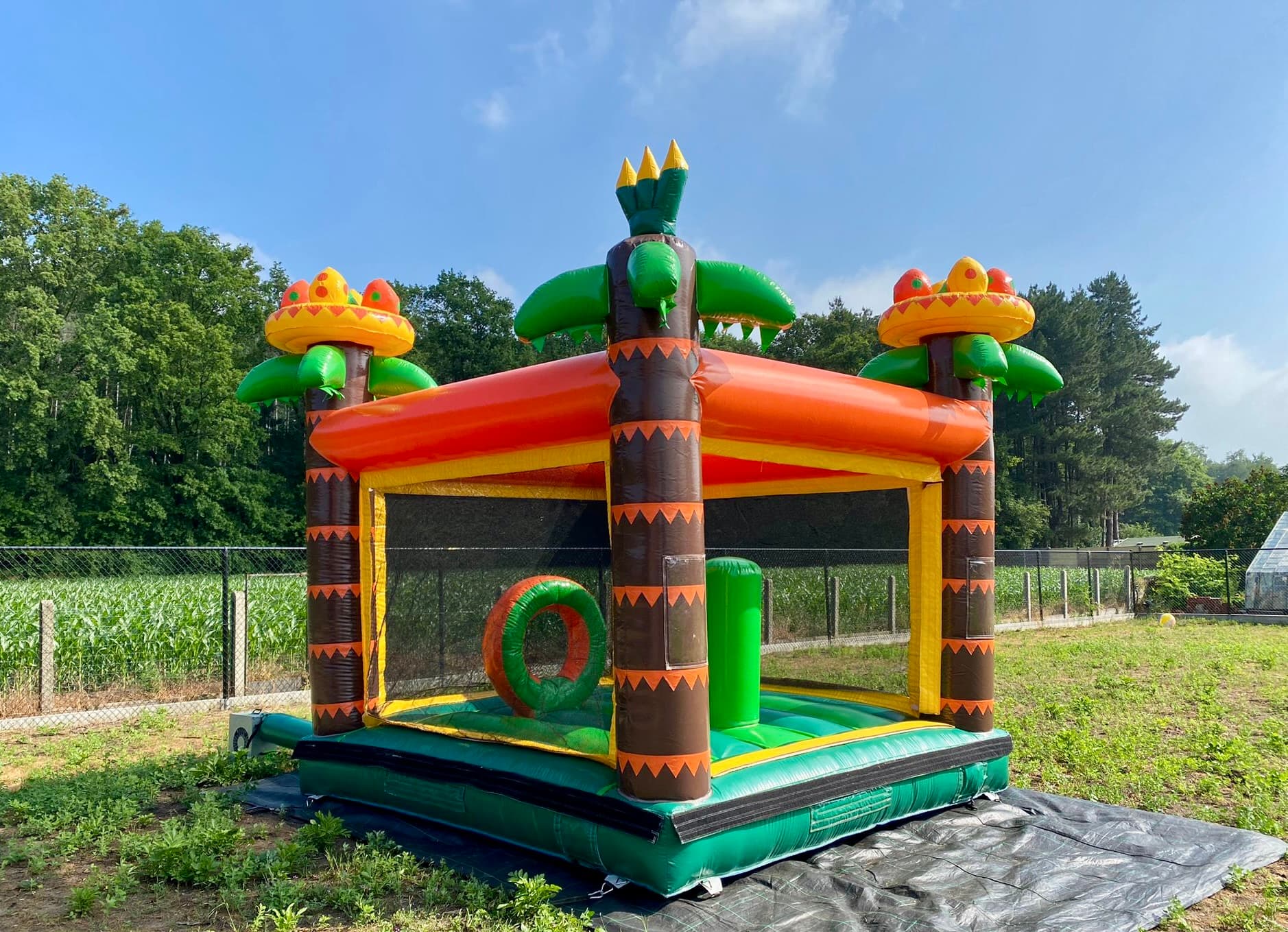 Play Box dino (enkel indoor en projecten) Jumperke